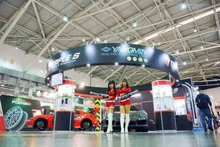 Triple S短弹簧 2017年台湾国际汽车零配件展览会的焦点之星